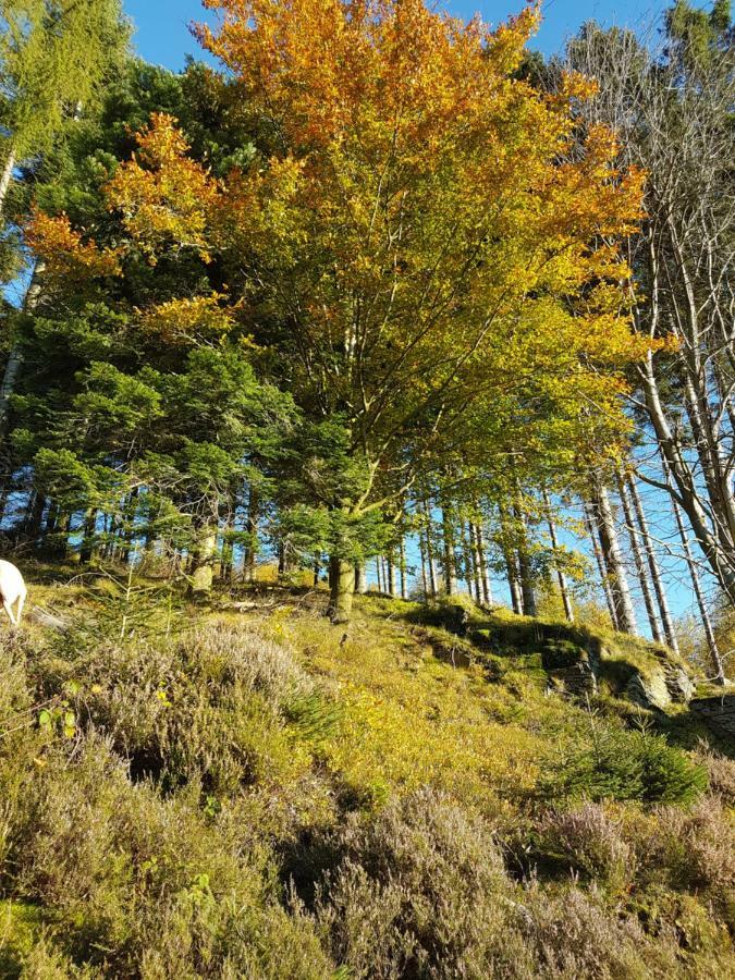 Freundliche Unterkunft Sauerland Meschede Esterno foto