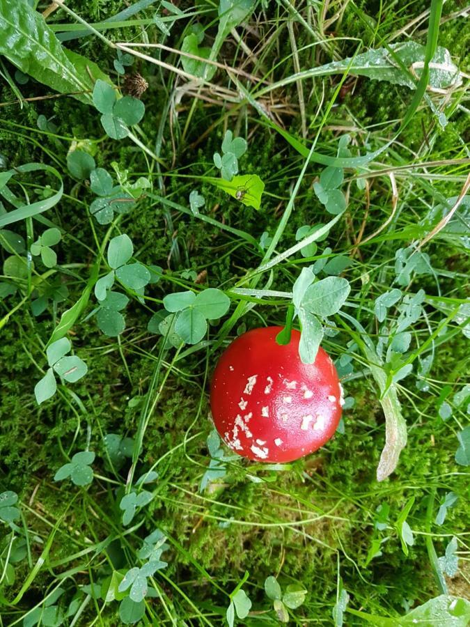 Freundliche Unterkunft Sauerland Meschede Esterno foto
