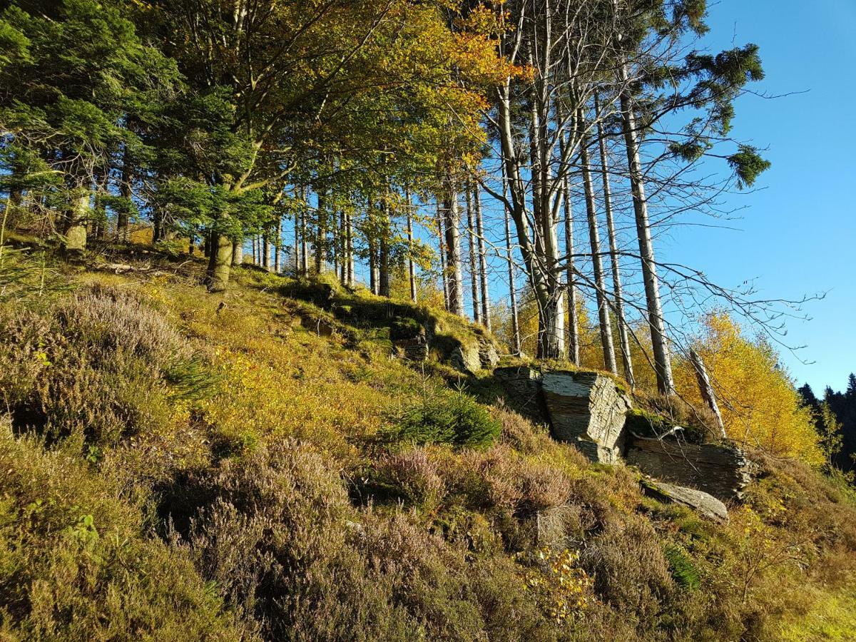 Freundliche Unterkunft Sauerland Meschede Esterno foto
